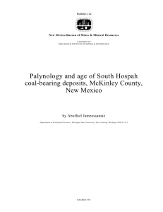 Palynology and age of South Hospah coal-bearing deposits, McKinley County, New Mexico