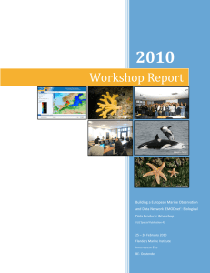 2010 Workshop Report  Building a European Marine Observation