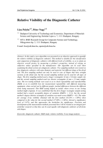 Relative Visibility of the Diagnostic Catheter Liza Pelyhe , Péter Nagy