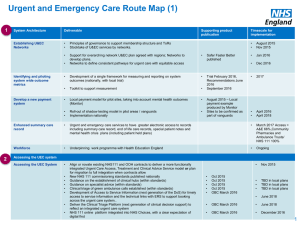 Urgent and Emergency Care Route Map (1)