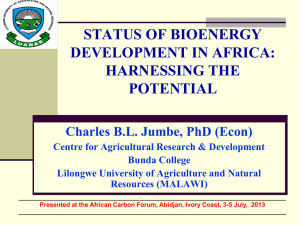 STATUS OF BIOENERGY DEVELOPMENT IN AFRICA: HARNESSING THE POTENTIAL