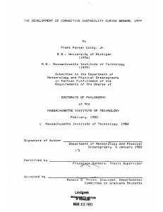 THE  DEVELOPMENT  OF  CONVECTIVE DURING 1979 INSTABILITY