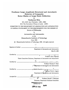 Nonlinear  Large  Amplitude  Structural  and ... Behavior  of Composite