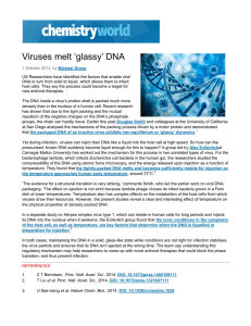Viruses melt ‘glassy’ DNA
