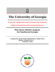 The University of Georgia Pine Straw Market Analysis for Southwest Georgia