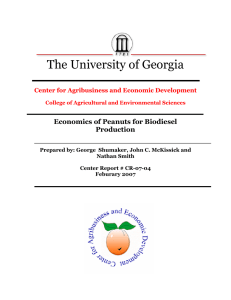 The University of Georgia Economics of Peanuts for Biodiesel Production