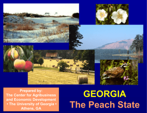 GEORGIA The Peach State