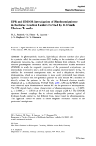 EPR and ENDOR Investigation of Rhodosemiquinone Electron Transfer