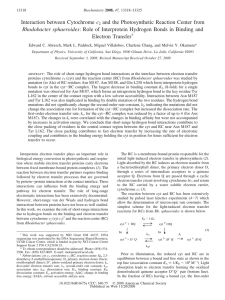 c and the Photosynthetic Reaction Center from Electron Transfer Rhodobacter sphaeroides