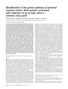 Identification of the proton pathway in bacterial with reduction of Q