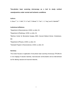 Two-photon laser scanning microscopy as a tool to study cortical