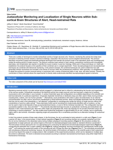 Juxtacellular Monitoring and Localization of Single Neurons within Sub-