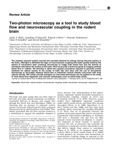 Two-photon microscopy as a tool to study blood brain Review Article