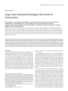 Large-Scale Automated Histology in the Pursuit of Connectomes