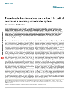 Phase-to-rate transformations encode touch in cortical John C Curtis &amp; David Kleinfeld