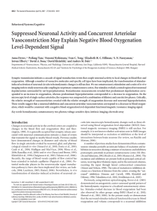 Suppressed Neuronal Activity and Concurrent Arteriolar