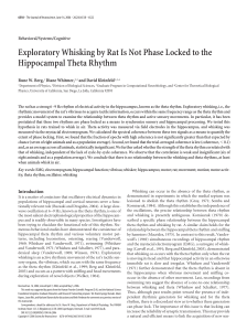 Exploratory Whisking by Rat Is Not Phase Locked to the Behavioral/Systems/Cognitive