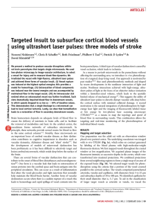 Targeted insult to subsurface cortical blood vessels