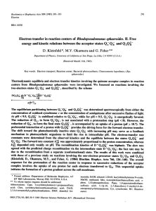 Rhodopseudomonas sphaeroides.