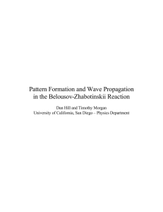 Pattern Formation and Wave Propagation in the Belousov-Zhabotinskii Reaction