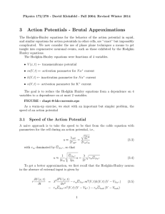 3 Action Potentials - Brutal Approximations