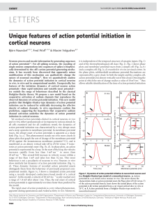 Unique features of action potential initiation in cortical neurons  ¨rn Naundorf