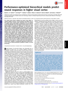 Performance-optimized hierarchical models predict neural responses in higher visual cortex