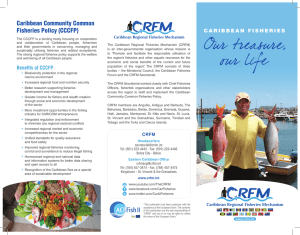 Caribbean Community Common Fisheries Policy (CCCFP)