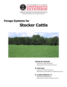 Stocker Cattle Forage Systems for Dennis W. Hancock R. Curt Lacy