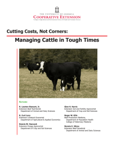 Managing Cattle in Tough Times Cutting Costs, Not Corners: A