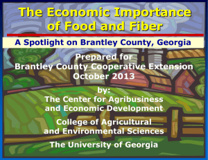 The Economic Importance of Food and Fiber Prepared for Brantley County Cooperative Extension