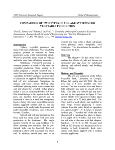 COMPARISON OF TWO TYPES OF TILLAGE SYSTEMS FOR VEGETABLE PRODUCTION