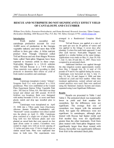 RESCUE AND NUTRIPHITE DO NOT SIGNIFICANTLY EFFECT YIELD