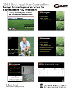 2014 Southeast Hay Convention Forage Bermudagrass Varieties for Southeastern Hay Producers