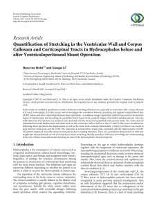 Research Article Quantification of Stretching in the Ventricular Wall and Corpus