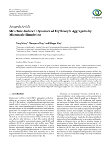 Research Article Structure-Induced Dynamics of Erythrocyte Aggregates by Microscale Simulation Tong Wang,