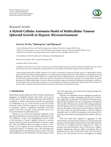 Research Article A Hybrid Cellular Automata Model of Multicellular Tumour Yan Cai,