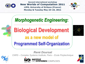 Biological Development Morphogenetic Engineering as a new model of Programmed Self-Organization