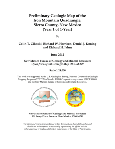 Preliminary Geologic Map of the Iron Mountain Quadrangle, Sierra County, New Mexico