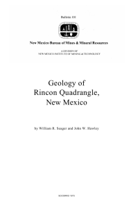 Geology of Rincon Quadrangle, New Mexico