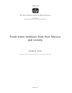 Fresh-water molluscs from New Mexico and vicinity Dwight W. Taylor