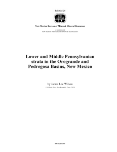 Lower and Middle Pennsylvanian strata in the Orogrande and