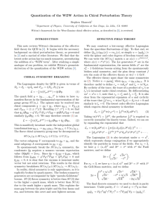 Quantization of the WZW Action in Chiral Perturbation Theory