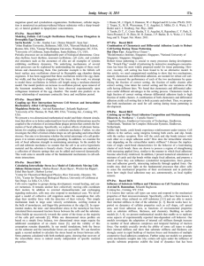 migration speed and cytoskeleton organization. Furthermore, cellular migra-