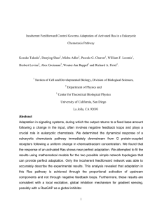 Incoherent Feedforward Control Governs Adaptation of Activated Ras in a... Chemotaxis Pathway Kosuke Takeda