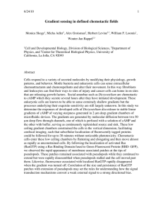 Gradient sensing in defined chemotactic fields