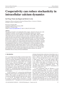 Cooperativity can reduce stochasticity in intracellular calcium dynamics