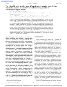 The role of M cells and the long QT syndrome... Simulation studies of reentrant excitations using a detailed