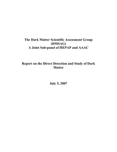 The Dark Matter Scientific Assessment Group (DMSAG)