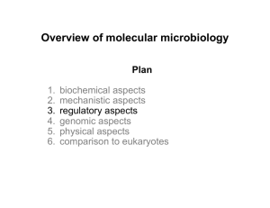 Overview of molecular microbiology